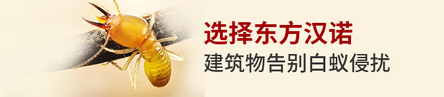 專(zhuān)業(yè)滅白蟻