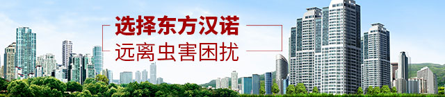 選擇東方漢漢諾，遠(yuǎn)離蟲(chóng)害困擾